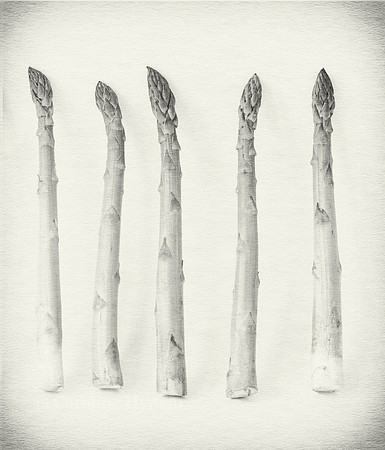 Asparagus