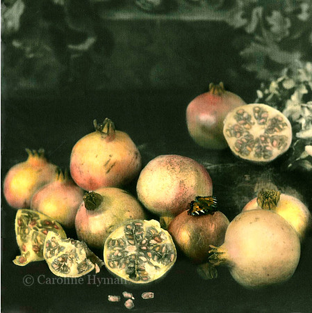 Pomegranates and butterfly
