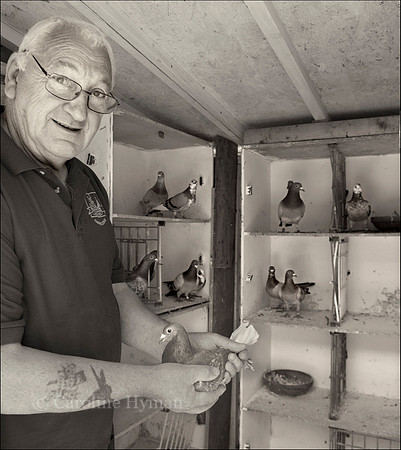 Pigeon fancier