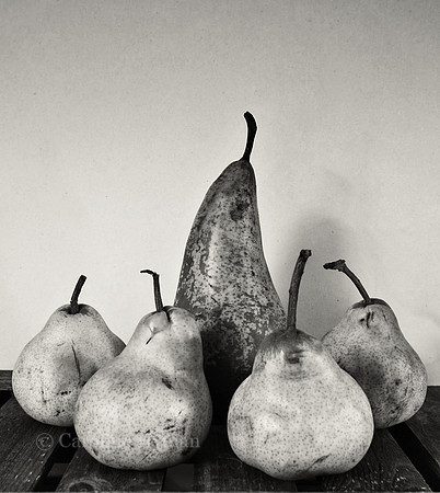 Pears 1